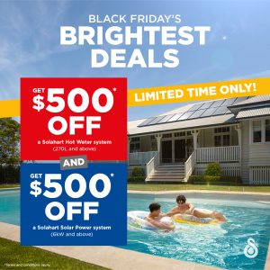 Black Friday Special Deals