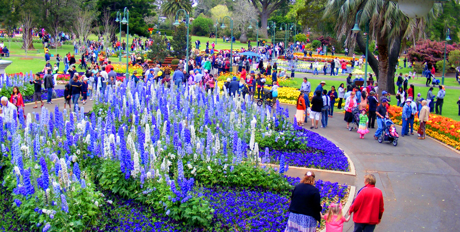Queens park local image